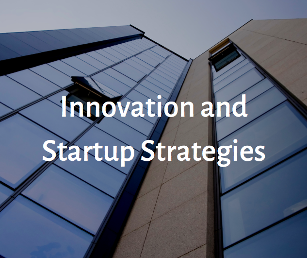 Innovation and Startup Strategies